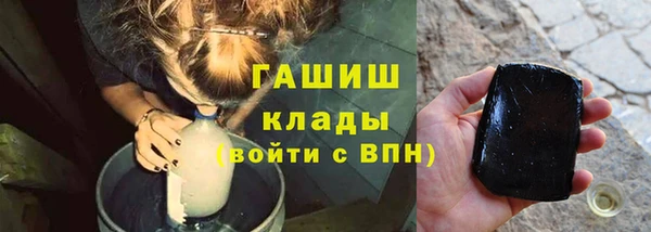 индика Арсеньев