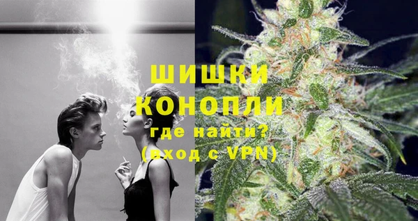 индика Арсеньев