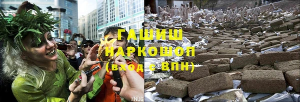 индика Арсеньев